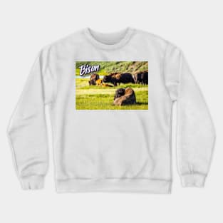 Bison at Yellowstone Crewneck Sweatshirt